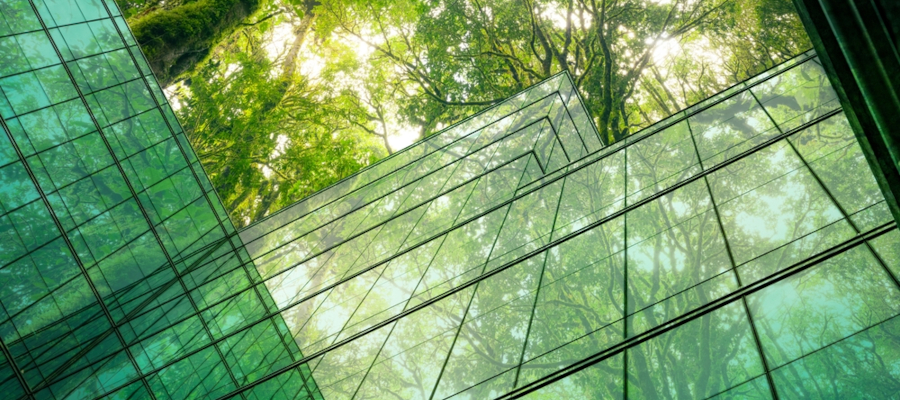 Empresas y materiales circulares
