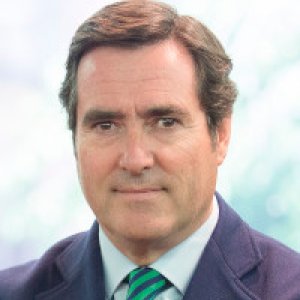 D. Antonio Garamendi